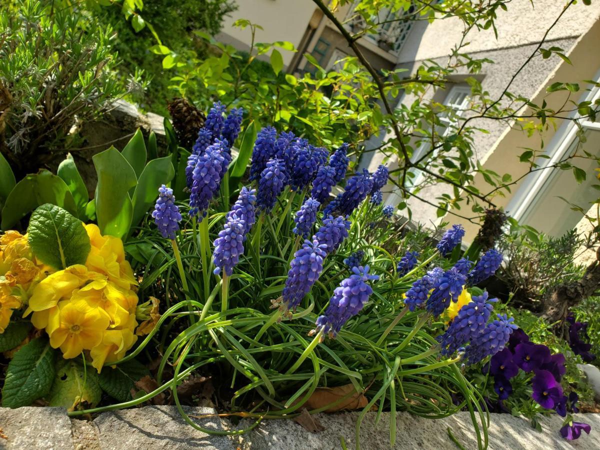 זלצבורג Apartment Villa Leopoldskron מראה חיצוני תמונה